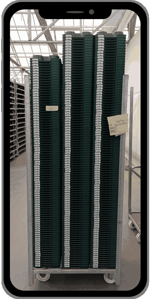 Edge.Count z&auml;hlt einen Stapel EPT-Trays automatisch: erkannte Trays sind im Bild markiert